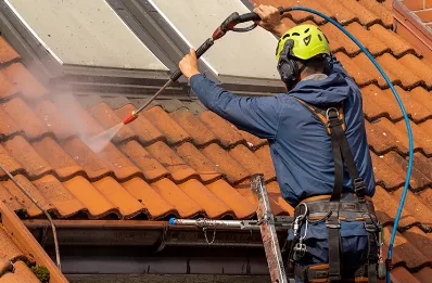 Démoussage et hydrofuge de toiture à Beyssac
